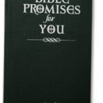 Bible-Promises-For-You