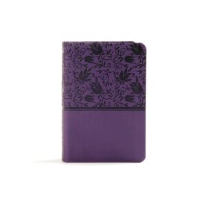 kjv Large Print Compact bible Reference, Purple Leather Touch